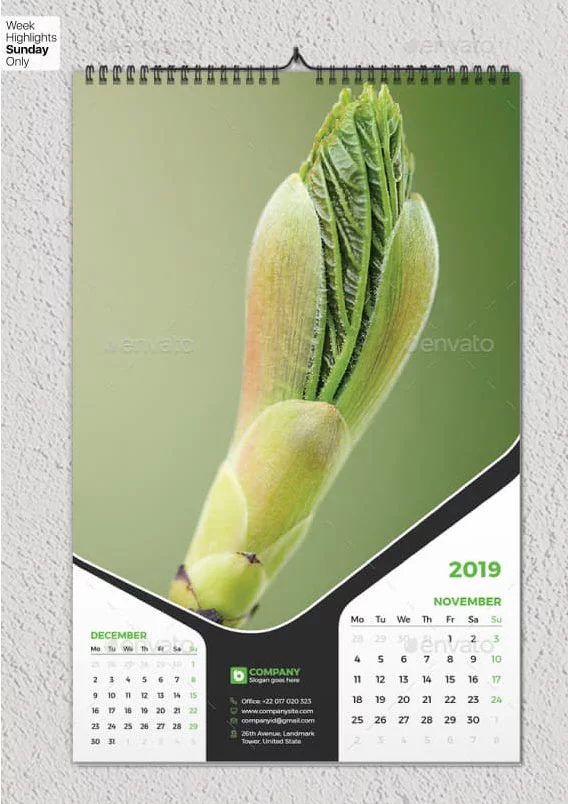 Lịch treo tường Bulbul Bab - Image 6